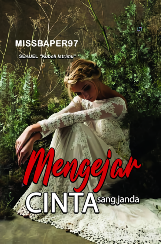Mengejar Cinta Sang Janda